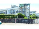 熊本県立八代工業高校(高等学校/高等専門学校)まで1731m サンライズ桜
