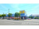 ゲオ八代松江店(ビデオ/DVD)まで186m 第1グリーンコーポ松江