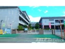 八代市立麦島小学校(小学校)まで660m 古城町貸家