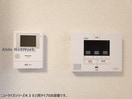  ベルジークⅡ
