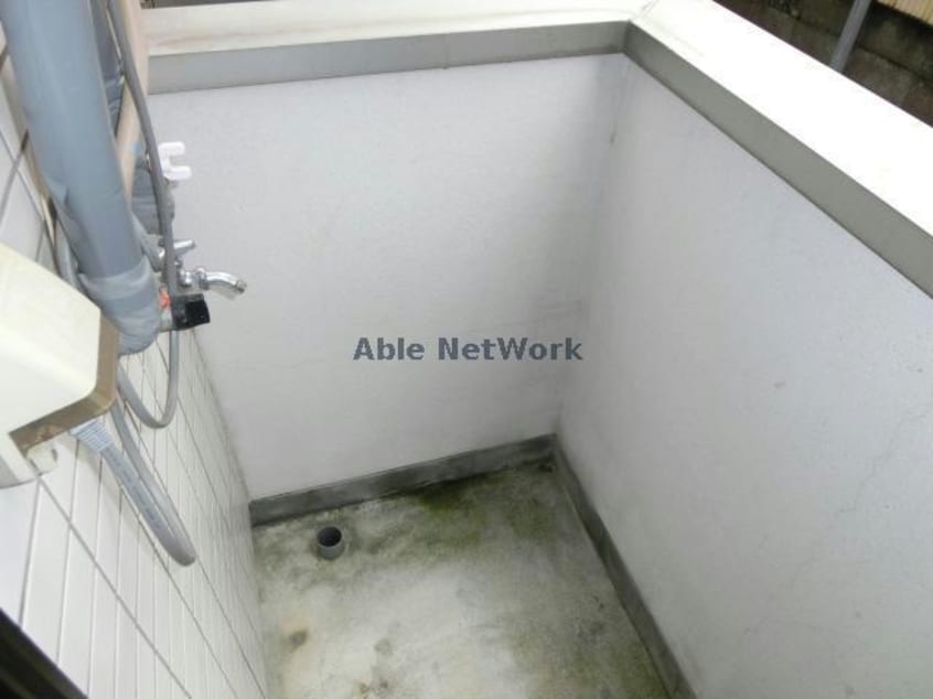 同型 メイン渡鹿