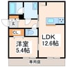 CarreFour菊陽 1LDKの間取り