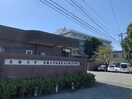 私立東海大学付属熊本星翔高校(高等学校/高等専門学校)まで126m※中央店撮影 ADCパピーズ新南部