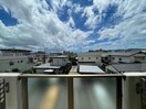 同型反転 レインボーヒルズ