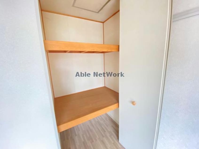  ディアスマドレカーサ