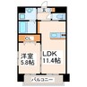 トリニティ近見 1LDKの間取り
