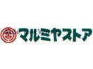 マルミヤストア東町店(スーパー)まで921m 熊本市電Ａ系統<熊本市交通局>/健軍交番前駅 徒歩2分 1階 築14年