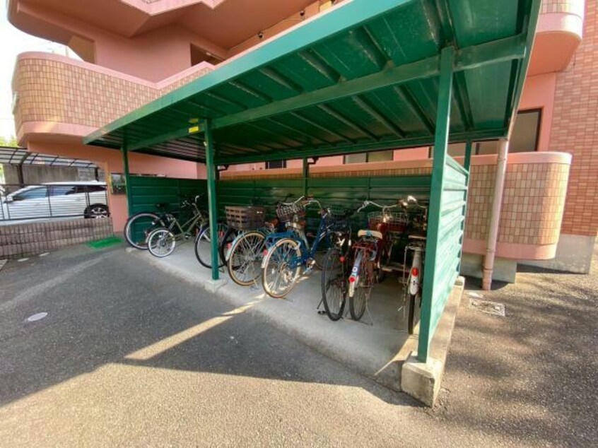  クレンリィカピス