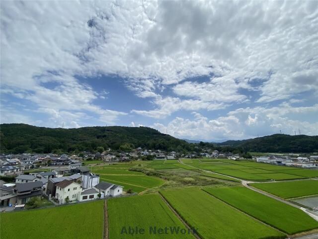  熊本バス/辺田見 徒歩6分 8階 築1年