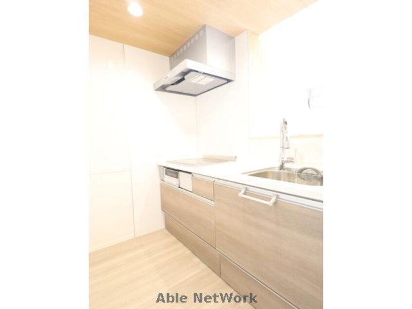 同型反転 ミル・ルミエールⅡ