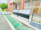  アンサイズニア