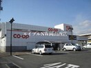 ニシナフードバスケット中仙道店(スーパー)まで778m フラン・カーサ