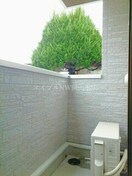  ウィステリア　コーキ　Ｂ