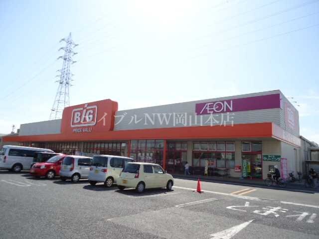 ザ・ビッグ奥田南店(スーパー)まで724m パープルオリエンテ