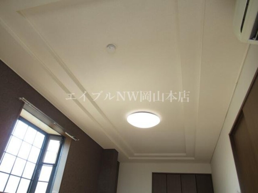  プロニティ　マイス