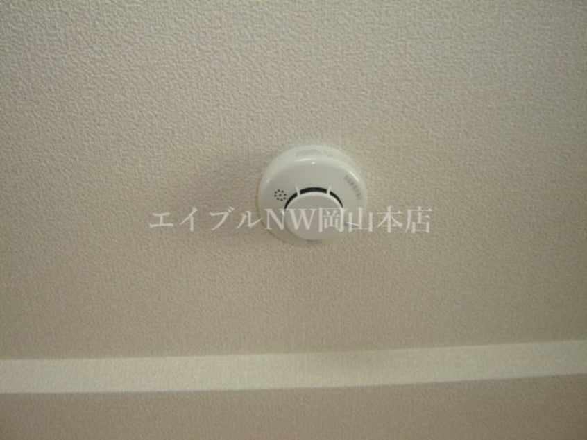 その他 アルカディア