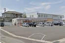 セブンイレブン岡山大安寺南町店(コンビニ)まで160m フォレストヒルズ