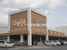 ハピッシュ金川店(スーパー)まで333m ベントルナータ　Ａ