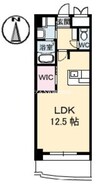 ネクステージ中井 1Rの間取り