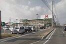 ハローズ岡南店(スーパー)まで38m 松浜町戸建