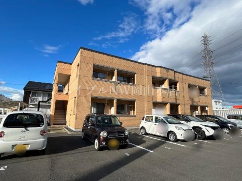  シェルルききょう