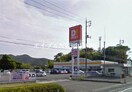 DiREX平島店(電気量販店/ホームセンター)まで2906m グランヴィスタ安倉