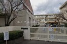 岡山市立伊島小学校(小学校)まで152m フルール伊島