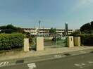 岡山市立甲浦小学校(小学校)まで1431m ハイム・ルースライン