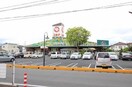 ニシナフードバスケット三門店(スーパー)まで185m サニースクエア西崎
