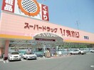 スーパードラッグひまわり浜店(ドラッグストア)まで378m フォレストオエル国富