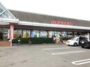 山陽マルナカ雄町店(スーパー)まで1526m パストラーレ　Ｃ