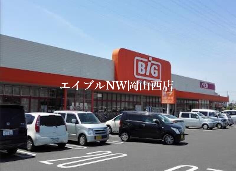 ザ・ビッグ奥田南店(電気量販店/ホームセンター)まで1593m レオネクストヴェンセル