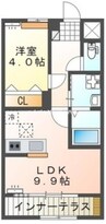 ラポール 1LDKの間取り