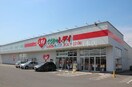 くすりのレデイ撫川店(ドラッグストア)まで357m エルメゾン撫川