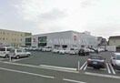 ユニクロ岡山十日市店(ショッピングセンター/アウトレットモール)まで350m Flats豊成