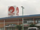 山陽マルナカ大元店(スーパー)まで616m カーサU