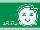 ザグザグ西之町店(ドラッグストア)まで252m カーサU