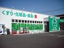 ザグザグ大元店(ドラッグストア)まで334m マリベール