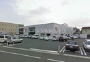 ユニクロ岡山中仙道店(ショッピングセンター/アウトレットモール)まで616m ラフィネパルク