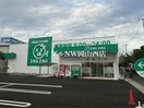 ザグザグ西之町店(ドラッグストア)まで242m レオパレスコスモスⅡ