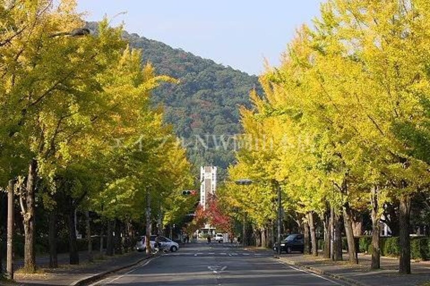 岡山大学 津島キャンパス(大学/短大/専門学校)まで1543m JOハイツ