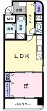 アバンツァート 1LDKの間取り