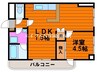 アビターレ下中野 1LDKの間取り