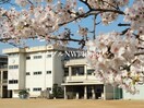 岡山市立宇野小学校(小学校)まで703m ファインⅡ