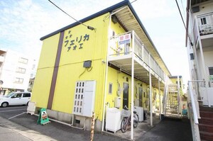 フェリカアオエ