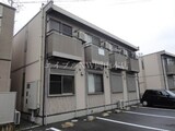 ダンデライオンＣ
