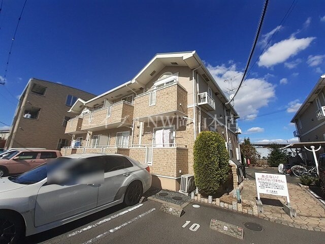  トゥルーランド錦　Ｃ