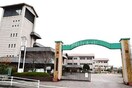 岡山市立御南小学校(小学校)まで488m ハアラン御南