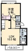 シャーメゾン大供 1LDKの間取り