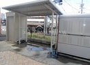  カラバッシュ